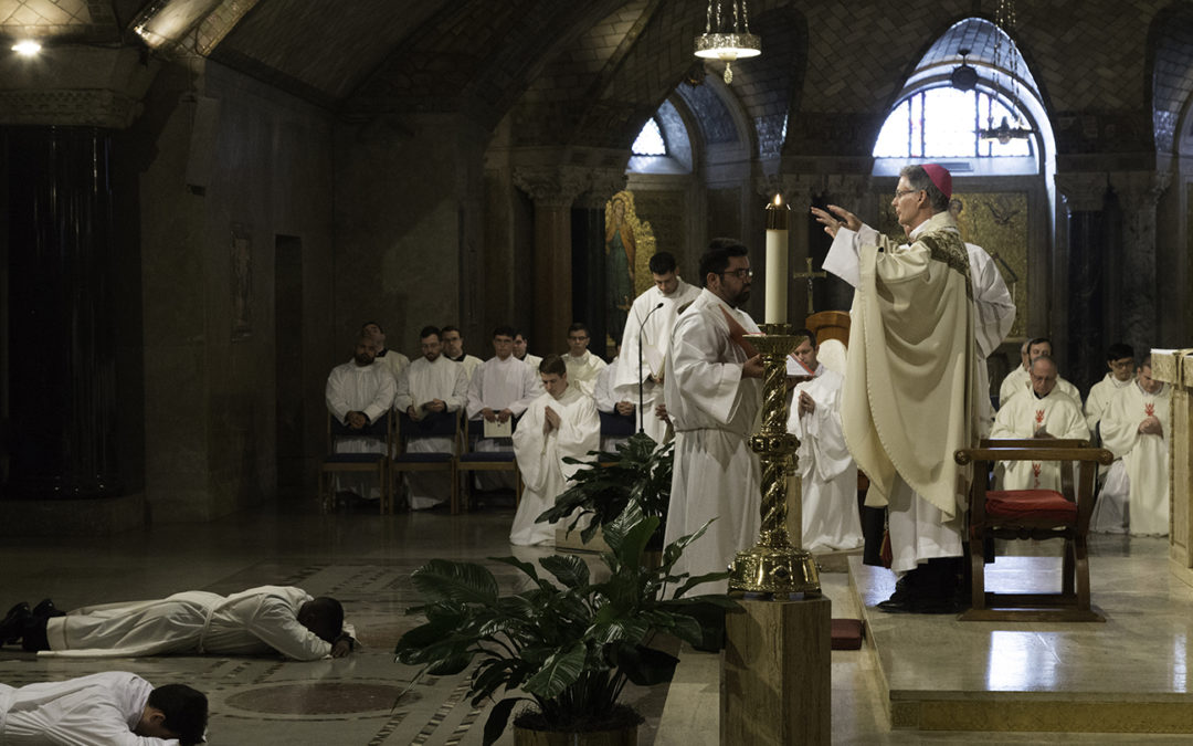 Transitional Diaconate Ordinations 2017
